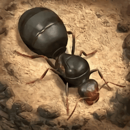 小小蚁国蚂蚁向前冲