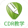 cdr9.0绿色版
